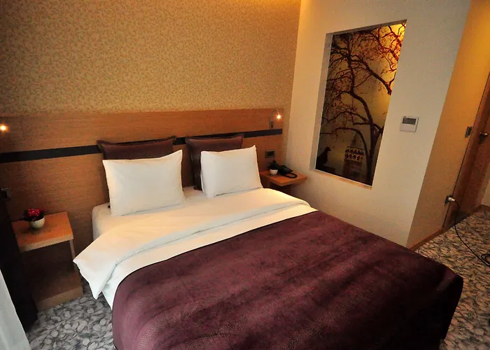 Hotel Osaka Airport Istambul